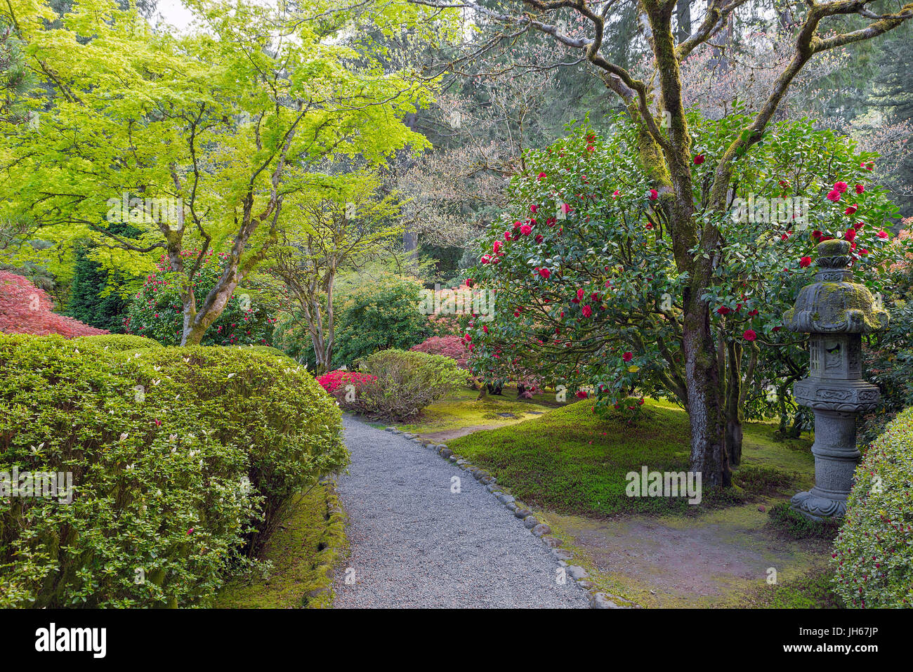 Pfad In Portland Japanese Garden Mit Gepflegten Pflanzen Straucher