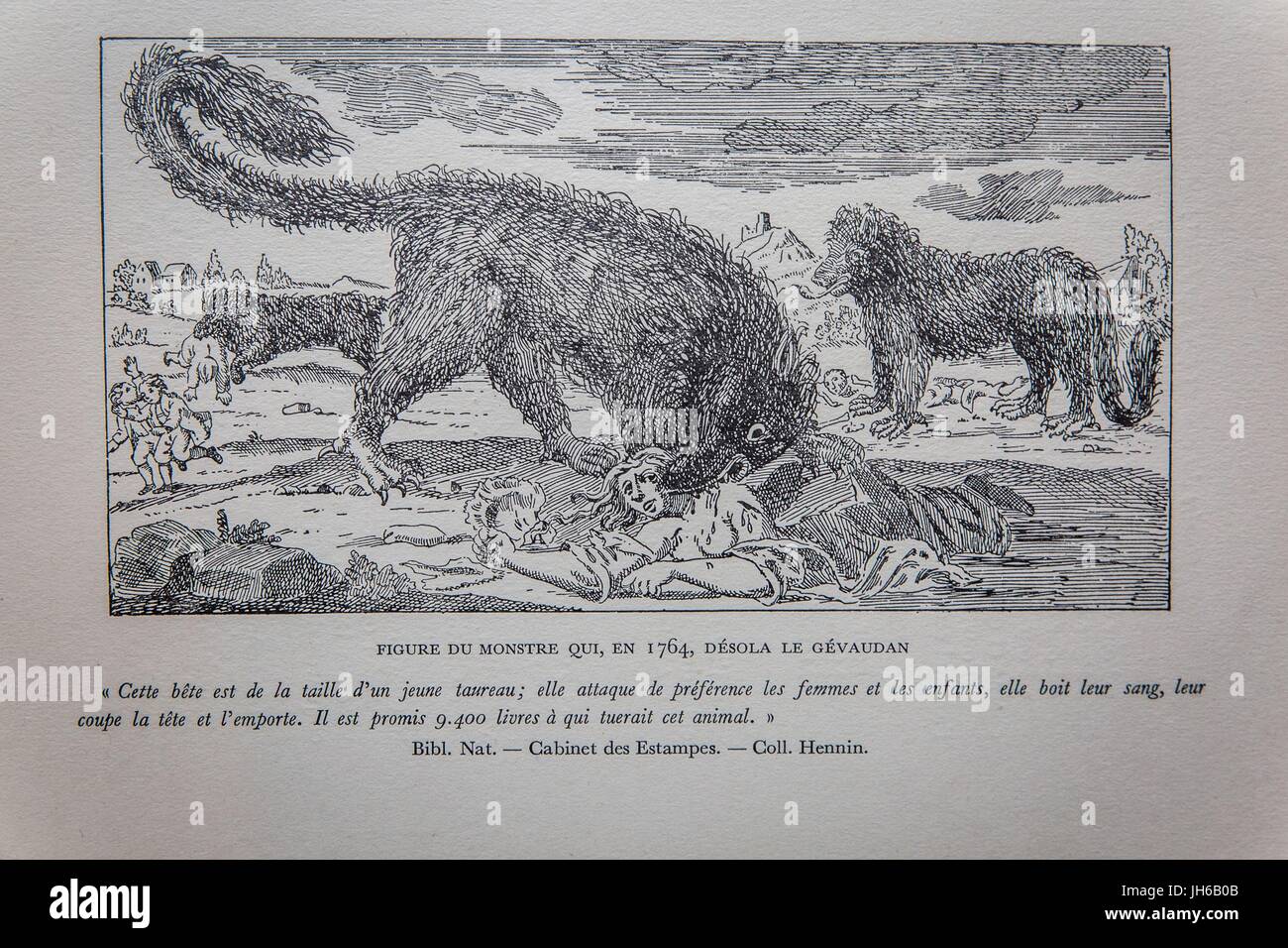 menschenfresser GRAVUR DER MENSCHENFRESSER VON GEVAUDAN Stockfotografie - Alamy