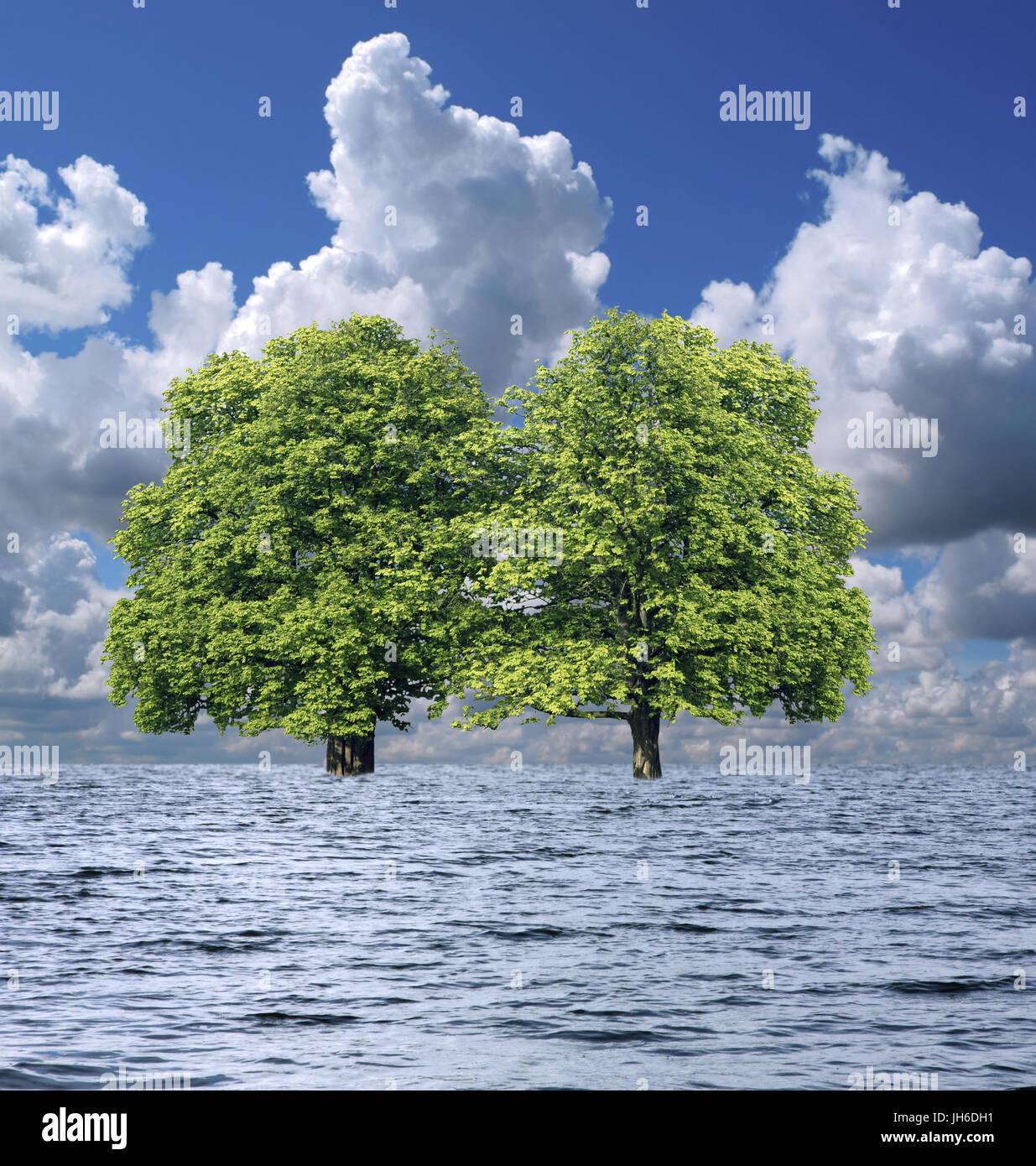 Zwei Bäume im Wasser. Stockfoto