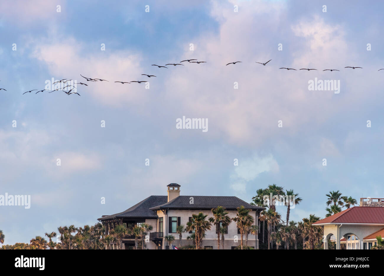 Pelikane fliegen in Formation bei Sonnenaufgang über Luxus-Wohnungen direkt am Strand in Ponte Vedra Beach im Nordosten Floridas. (USA) Stockfoto