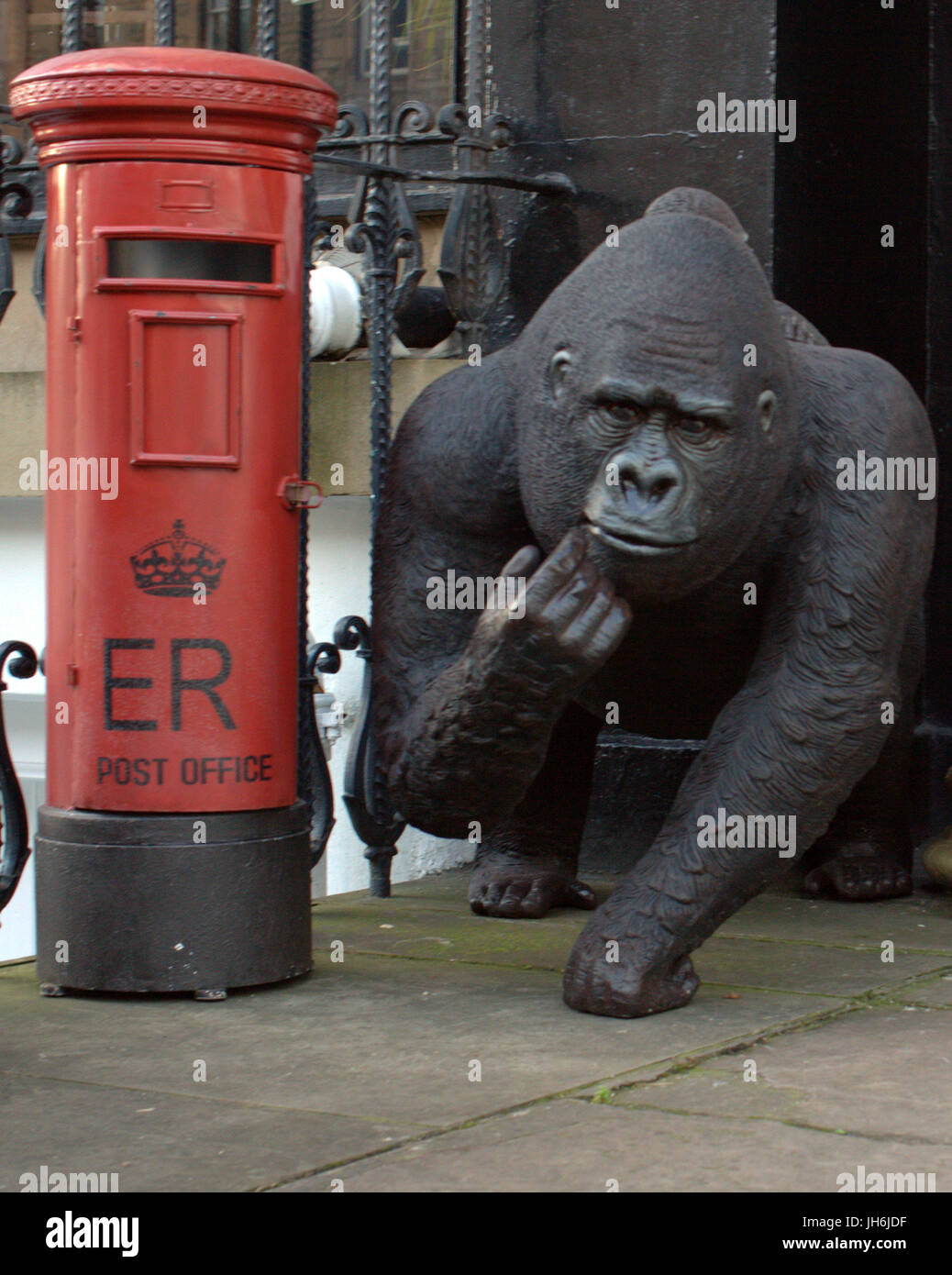 GPO Post Postbote rote Säule Box und Affe oder Gorilla Bürokonzept erschossen kommentieren Sie die Königliche Post-Mitarbeiter und Führungskräfte Stockfoto