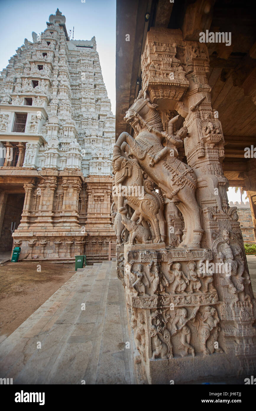 Skulptur an der Außenseite der Halle der 1000 Säulen am Sri Ranganathaswamy Hindu Tempel in Srirangam in Tiruchirapalli in der Region Tamil Nadu Stockfoto