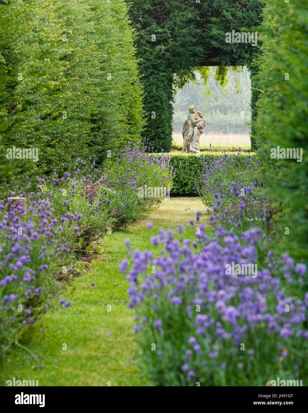 Skulptur Frau im Garten mit Lavendel Stockfoto
