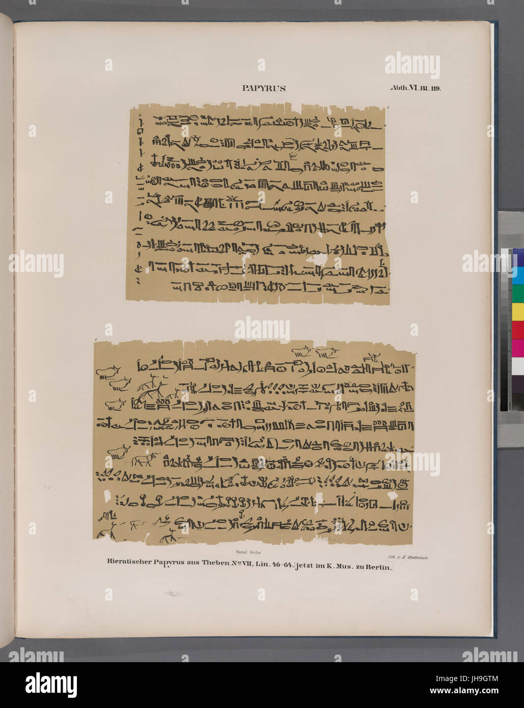 Papyrus. Hieratischer Papyrus aus Theben (Theben). Nr. VII, Lin. 46-64. (Jetzt Im K. Museum Zu Berlin.) (NYPL b14291191-44348) Stockfoto