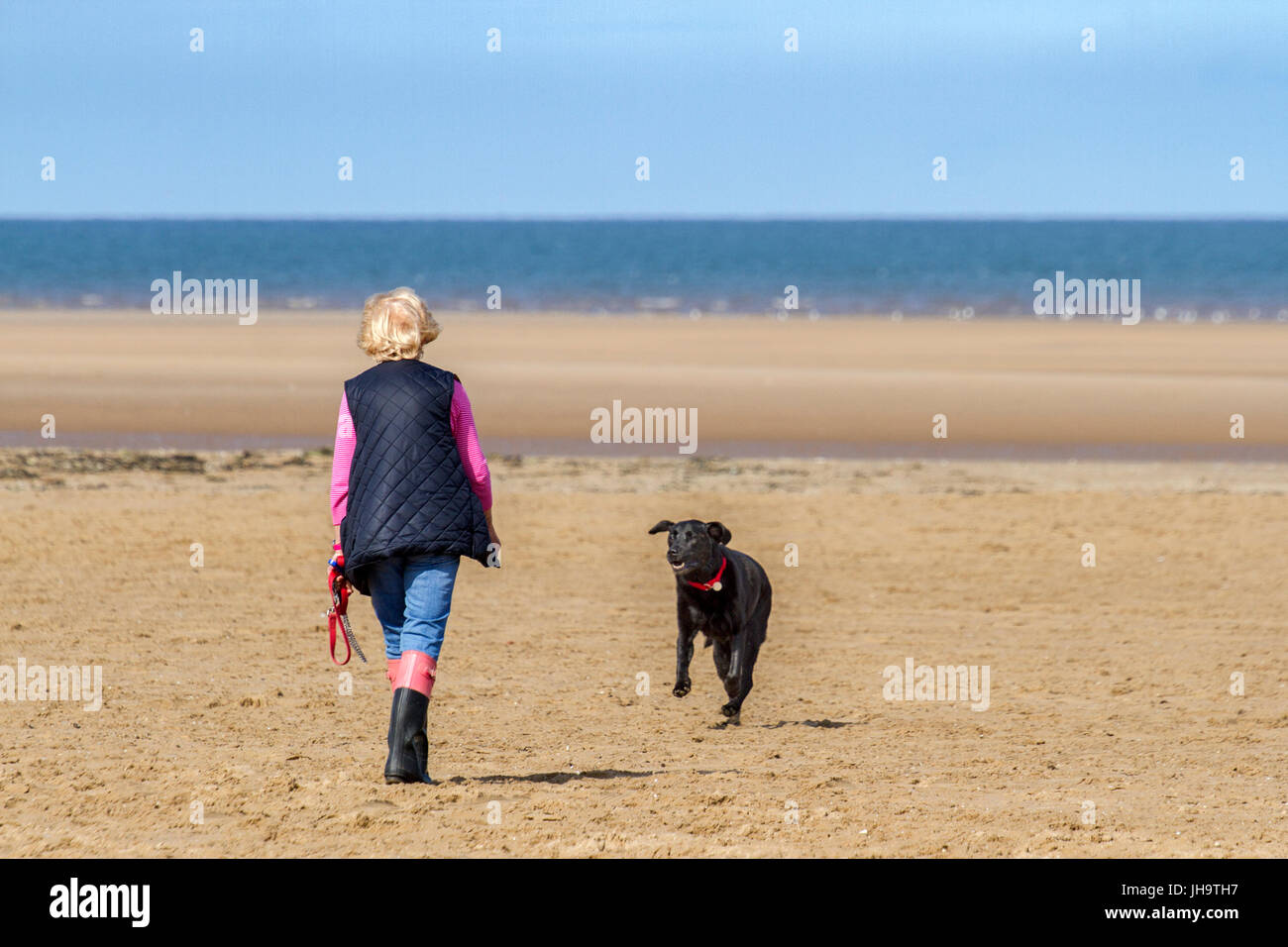 Southport, Merseyside, 13. Juli 2017. Großbritannien Wetter. Ein schönen sonniger Start in den Tag über der Nordwestküste Englands als Hundebesitzer nehmen ihre geliebten Haustiere für einen guten Lauf in der Sonne auf dem goldenen Sand von Southport Strand in Merseyside. Mit Zauber herrlicher Sonnenschein, die voraussichtlich im Laufe des Tages weiter wird ein schöner Tag in dem beliebten Badeort erwartet. Bildnachweis: Cernan Elias/Alamy Live-Nachrichten Stockfoto