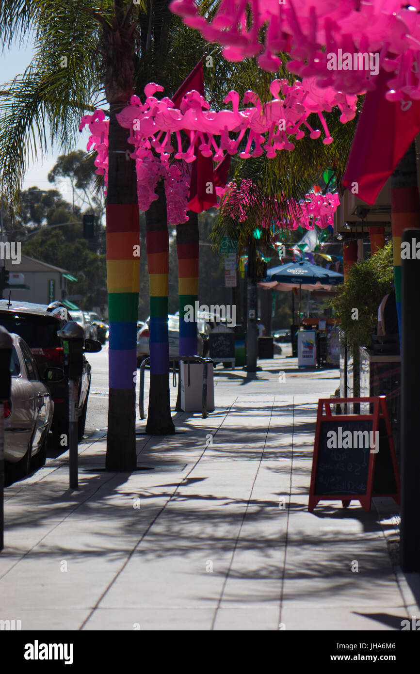 San Diego, USA. 13. Juli 2017. San Diego Hillcrest stolz 2017 Dekorationen: Regenbogenfahnen auf Palmen und rosa Flamingos in einer Straße außerhalb Urban Mo Bildnachweis: Jill Richardson/Alamy Live-Nachrichten Stockfoto