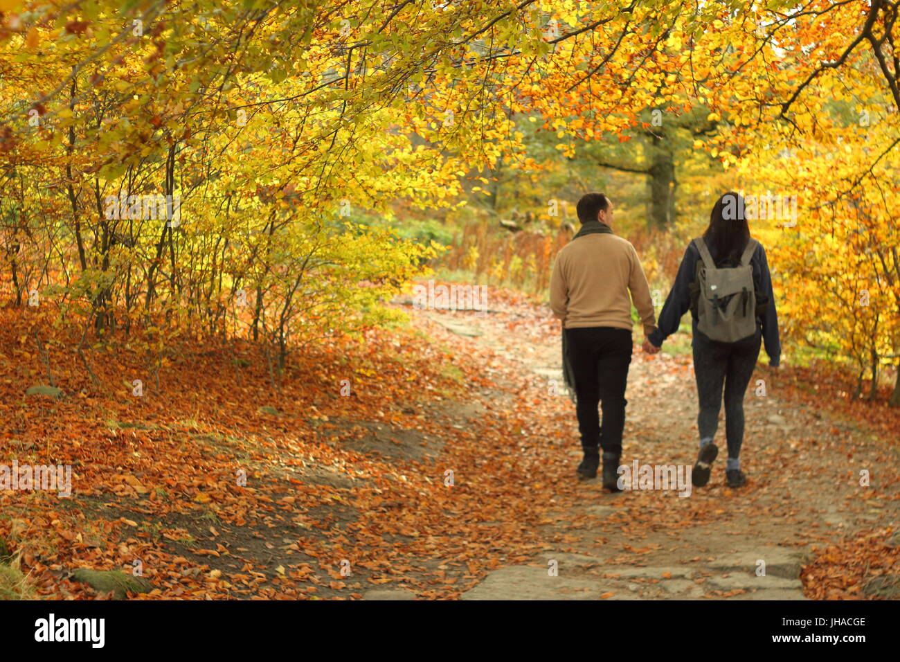 Paar halten Hände spazieren gedacht malerischen Wald an einem leuchtenden Herbsttag am Longshaw im Peak District National Park, England UK Stockfoto