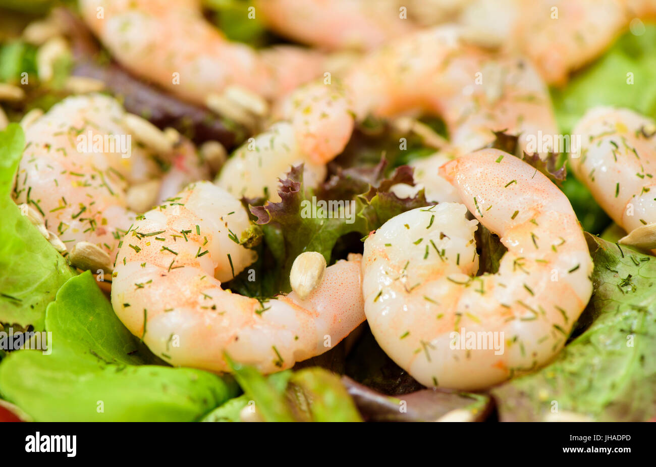 Meeresfrüchte-Salat mit frischen shrimps Stockfoto