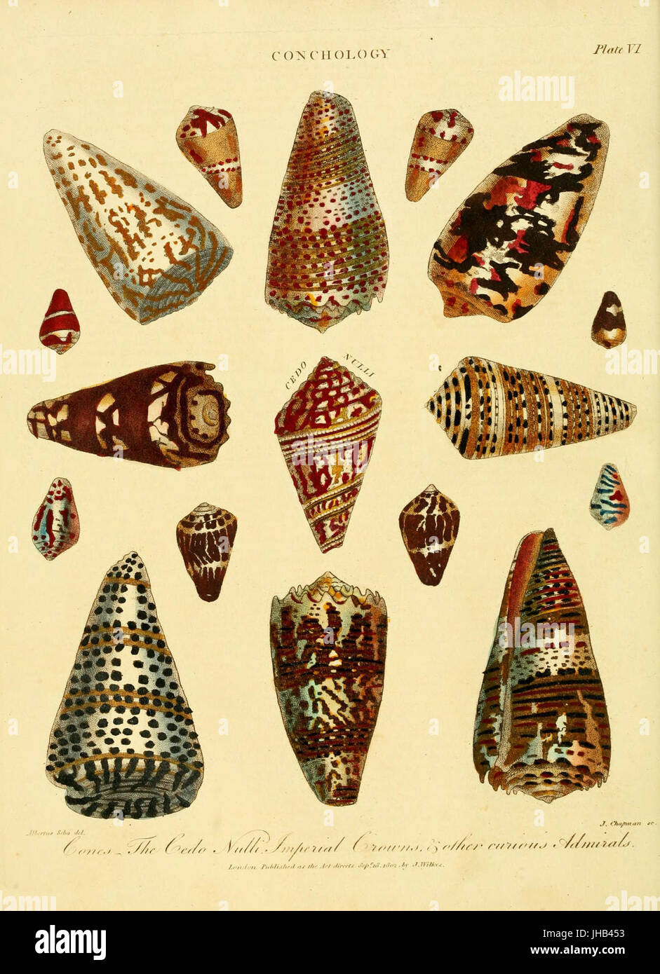 Enzyklopädie Londinensis oder Universal Wörterbuch der Künste, der Wissenschaften und der Literatur (TF. VI) (6045157003) Stockfoto