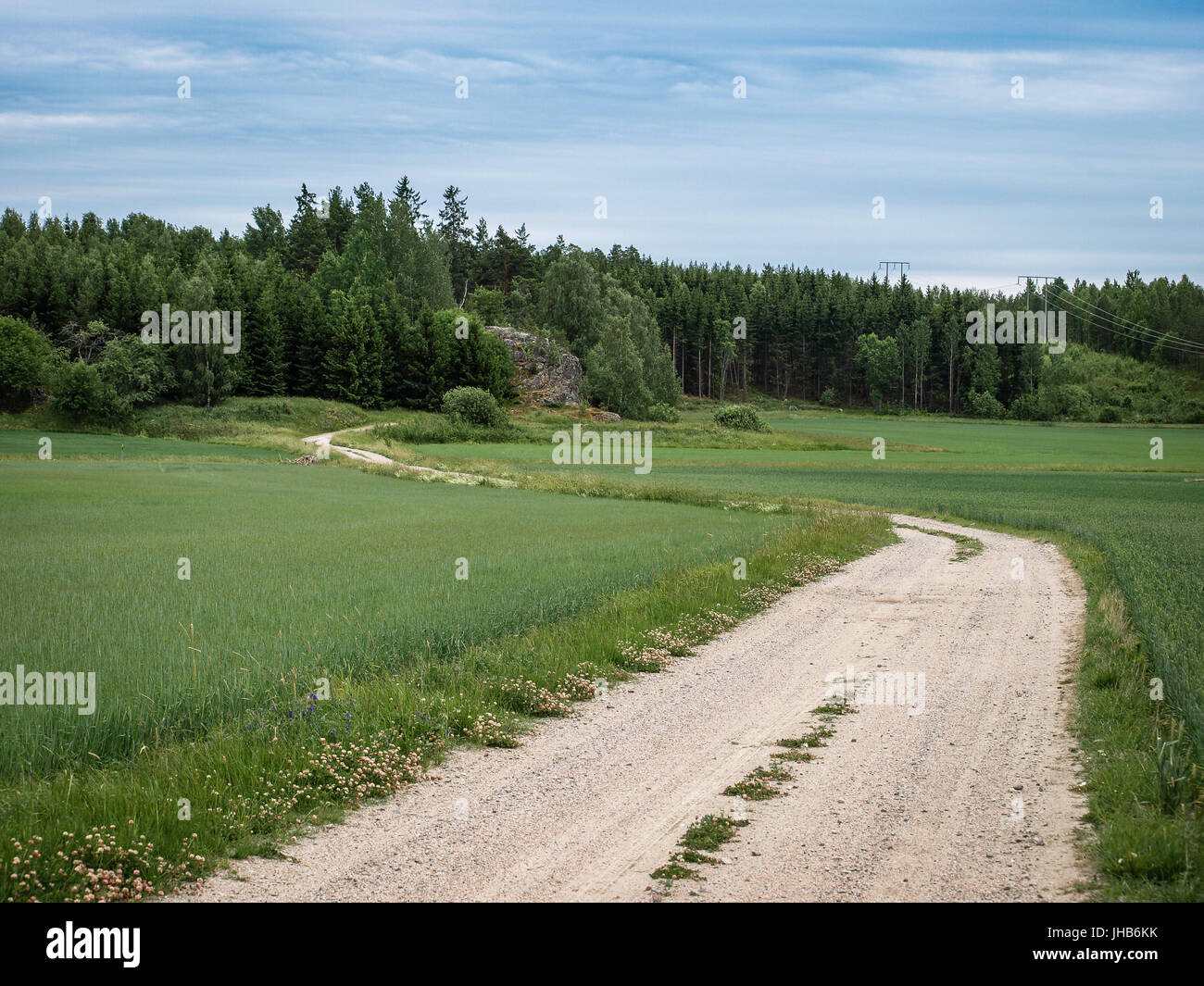 Eine schmale Landstraße Richtung Schweine zurück Berg Stockfoto