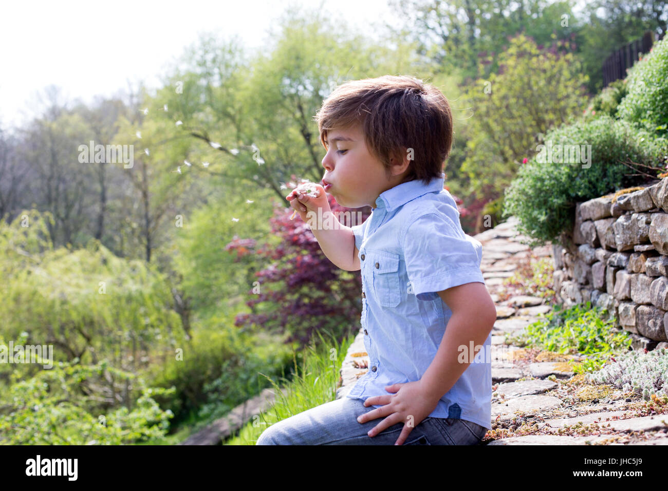 Kleiner Junge sitzt auf einer Steinmauer auf dem Lande. Er hält einen Löwenzahn und bläst die Samen entfernt. Stockfoto