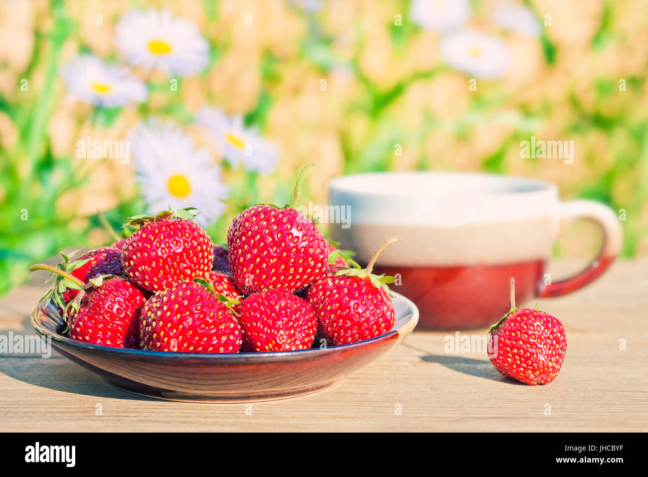 warmen Crossen Bild der rote reife Erdbeeren in Platte auf Holztisch im Garten mit Tee-Tasse und Kamille-Blumen im Hintergrund an sonnigen Sommertagen Stockfoto
