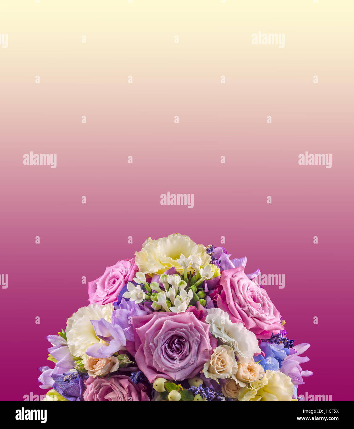 Lebendige Blumenarrangement mit lila Rosen und Hydrangea Hortensis, Hochzeitsstrauß, isoliert Stockfoto