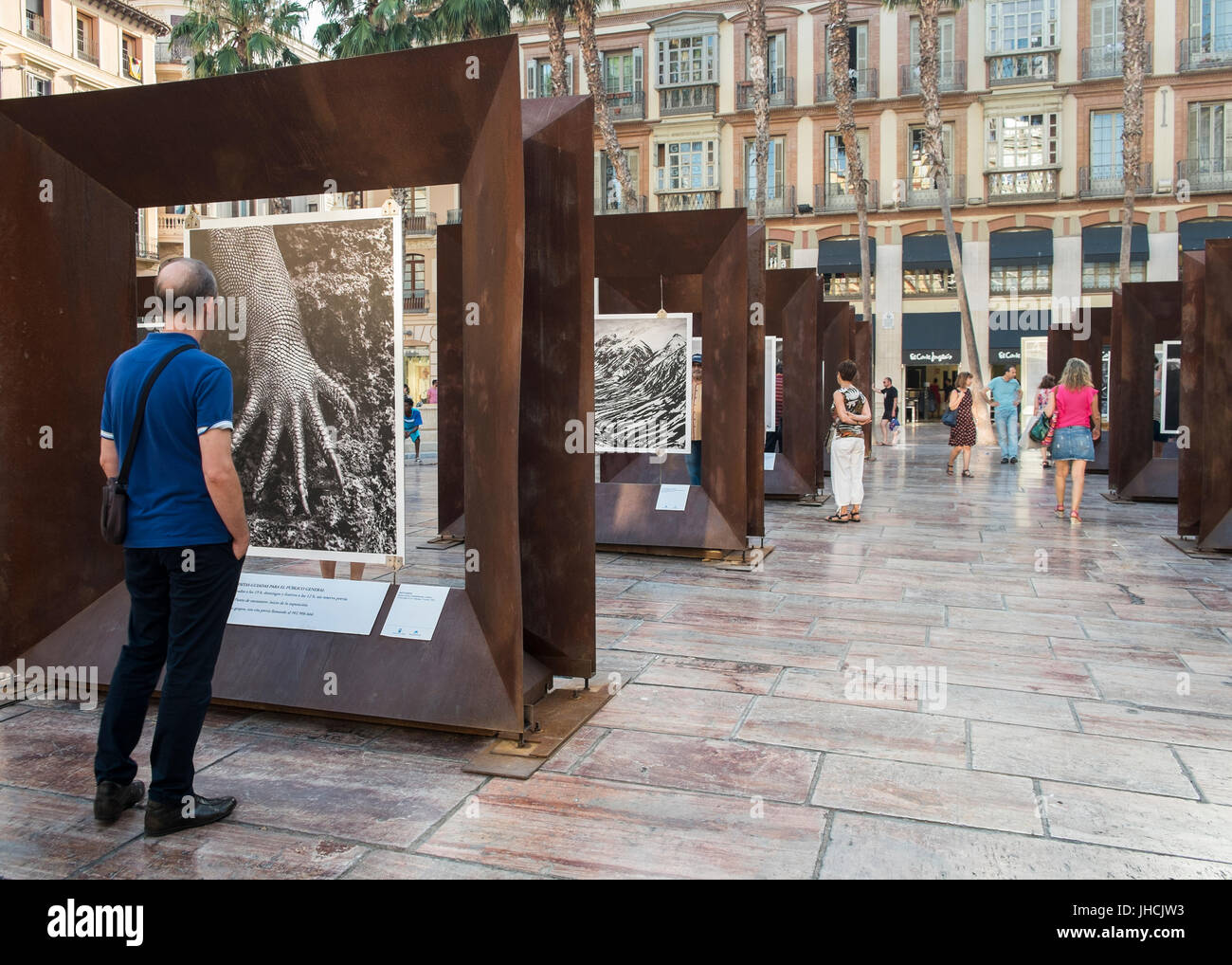 Ausstellung "Genesis" von der brasilianische Fotograf Sebastião Salgado. Plaza De La Constitución, Málaga, Spanien. Stockfoto