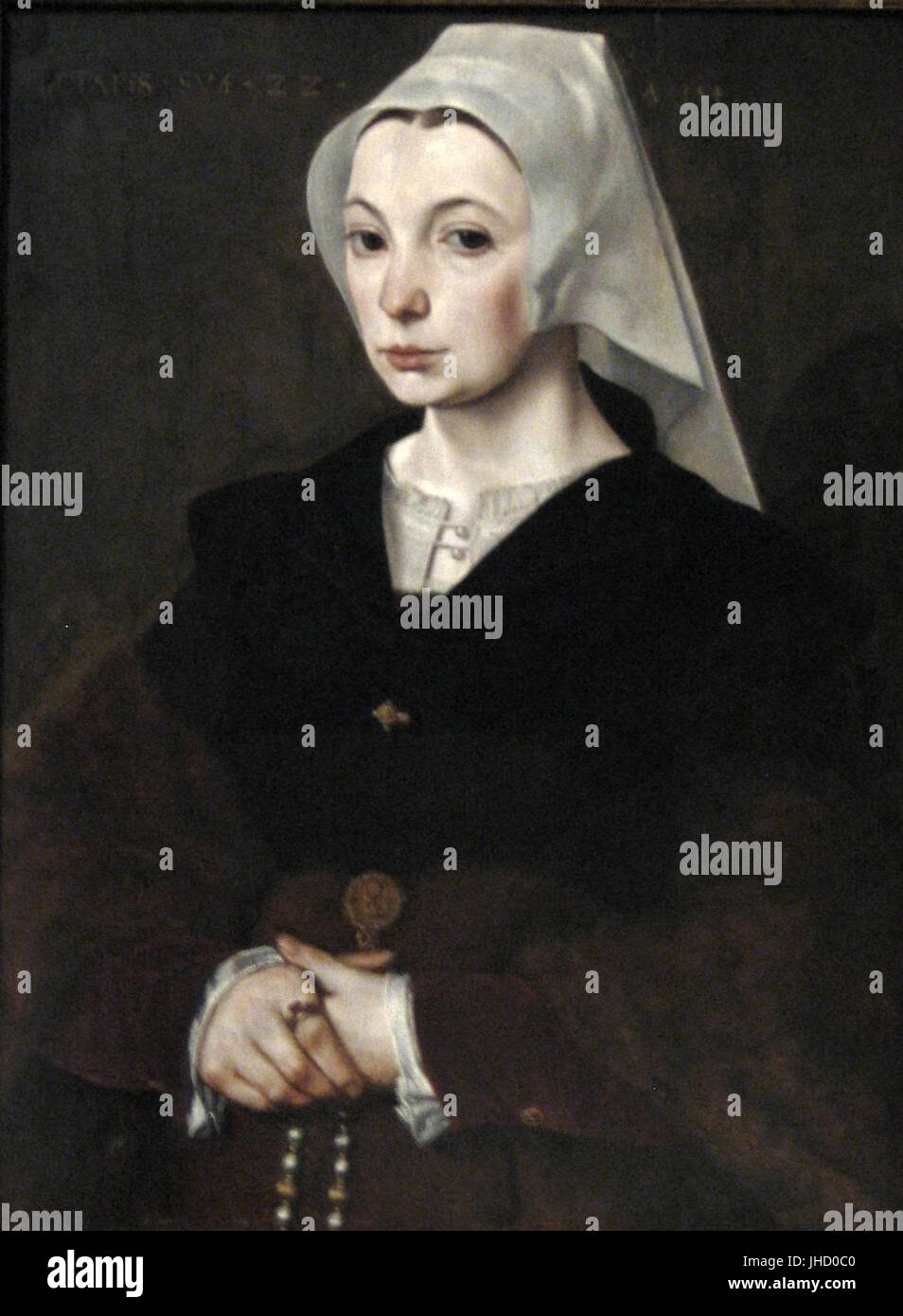 Porträt einer jungen Frau durch die Meister der 1540 s, Öl auf Eiche Holz, 1541, Art Gallery of New South Wales Stockfoto