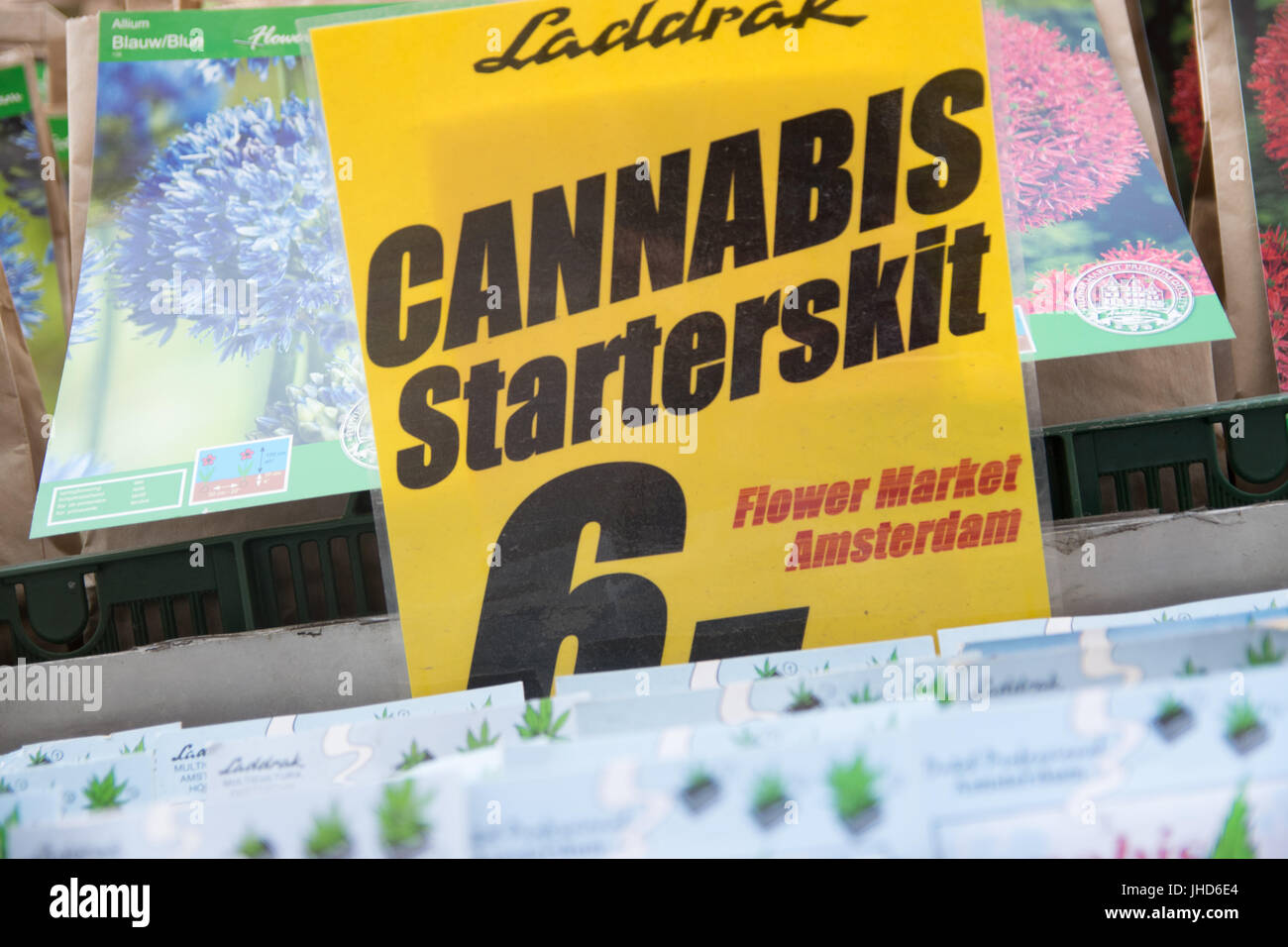 AMSTERDAM, Niederlande - 3. Juni 2017: Cannabis-Samen zum Verkauf auf einem Markt in Amsterdam Stockfoto