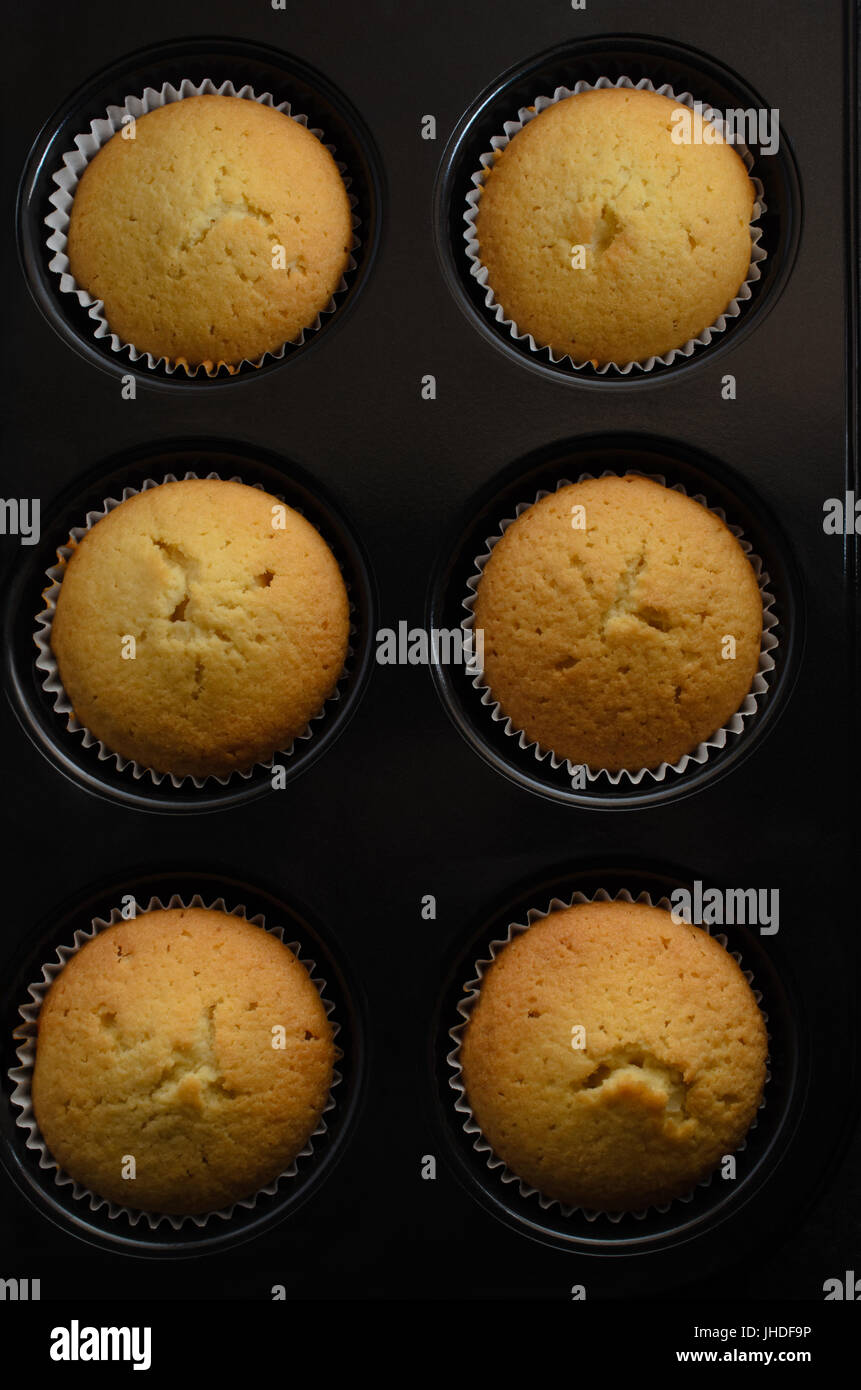 Overhead Schuss von sechs nach Hause gebackene schlicht golden Vanille Cupcakes in Bun Zinn. Stockfoto