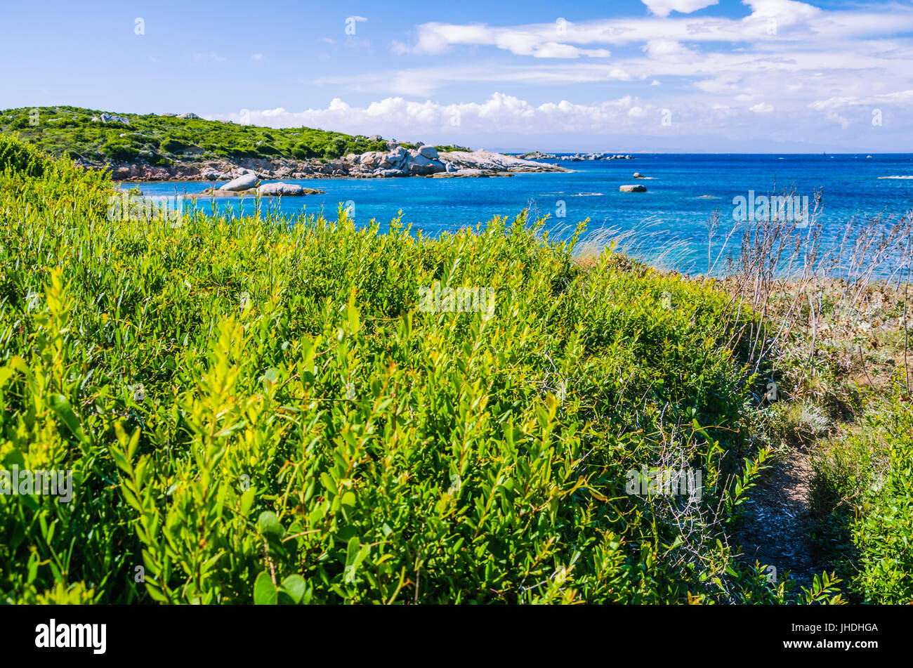 Küstenabschnitten mit Granitfelsen und erstaunliche azurblaues Wasser auf Porto Pollo, Sardinien, Italien Stockfoto
