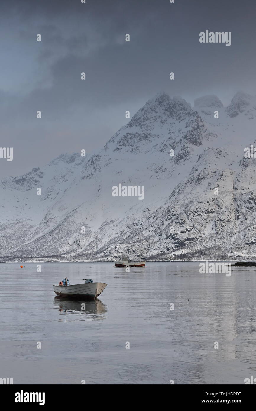 Angelboote/Fischerboote vertäut an Bojen in der Austnesfjorden in der Nähe von Vestpollen Dorf. Schneebedeckte Stortinden und Durmalsfjellet Berge im Hintergrund. Zentrale Stockfoto