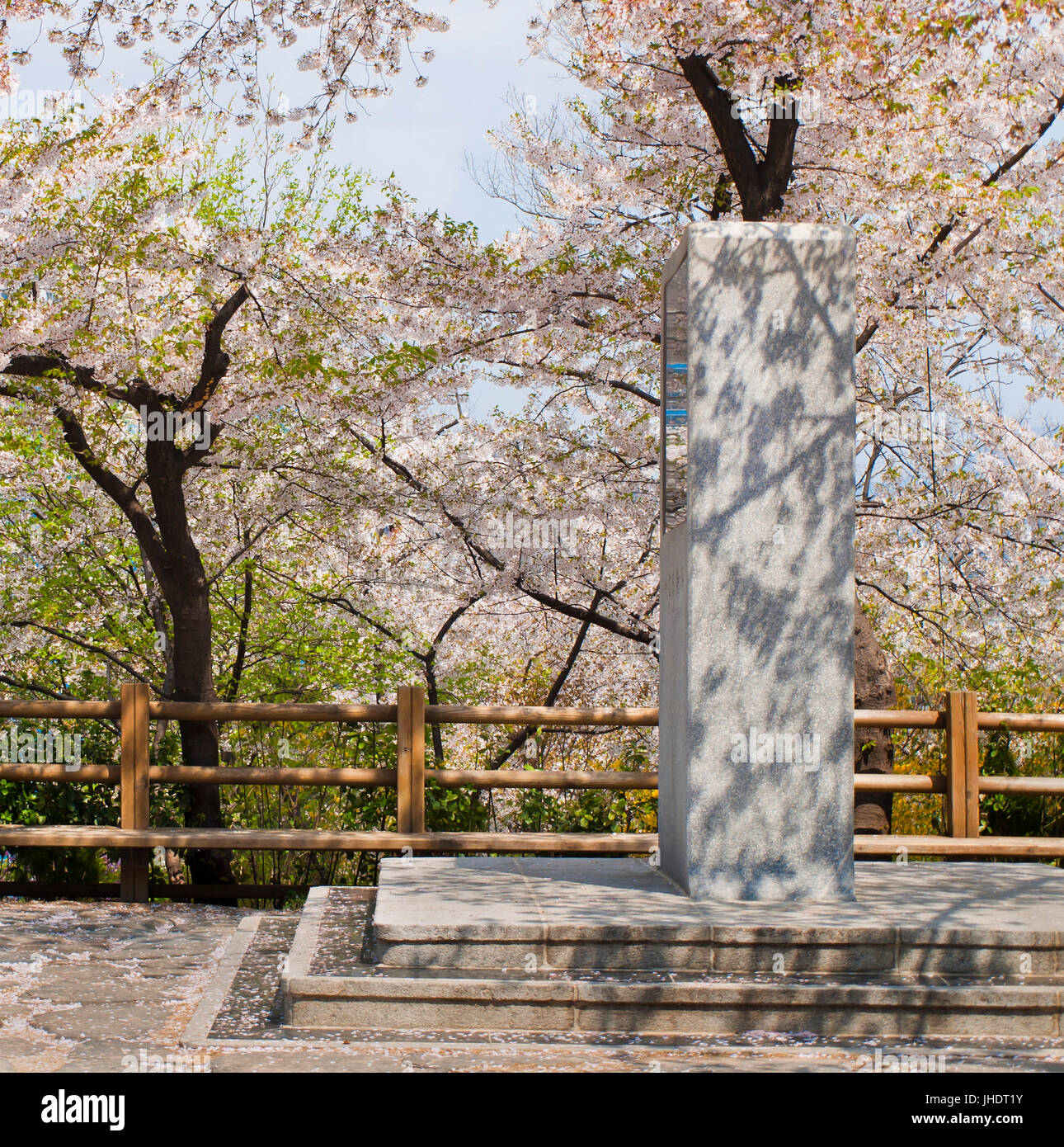 blühende Kirschbäume und Statue in Namsan Park in Seoul, Südkorea Stockfoto