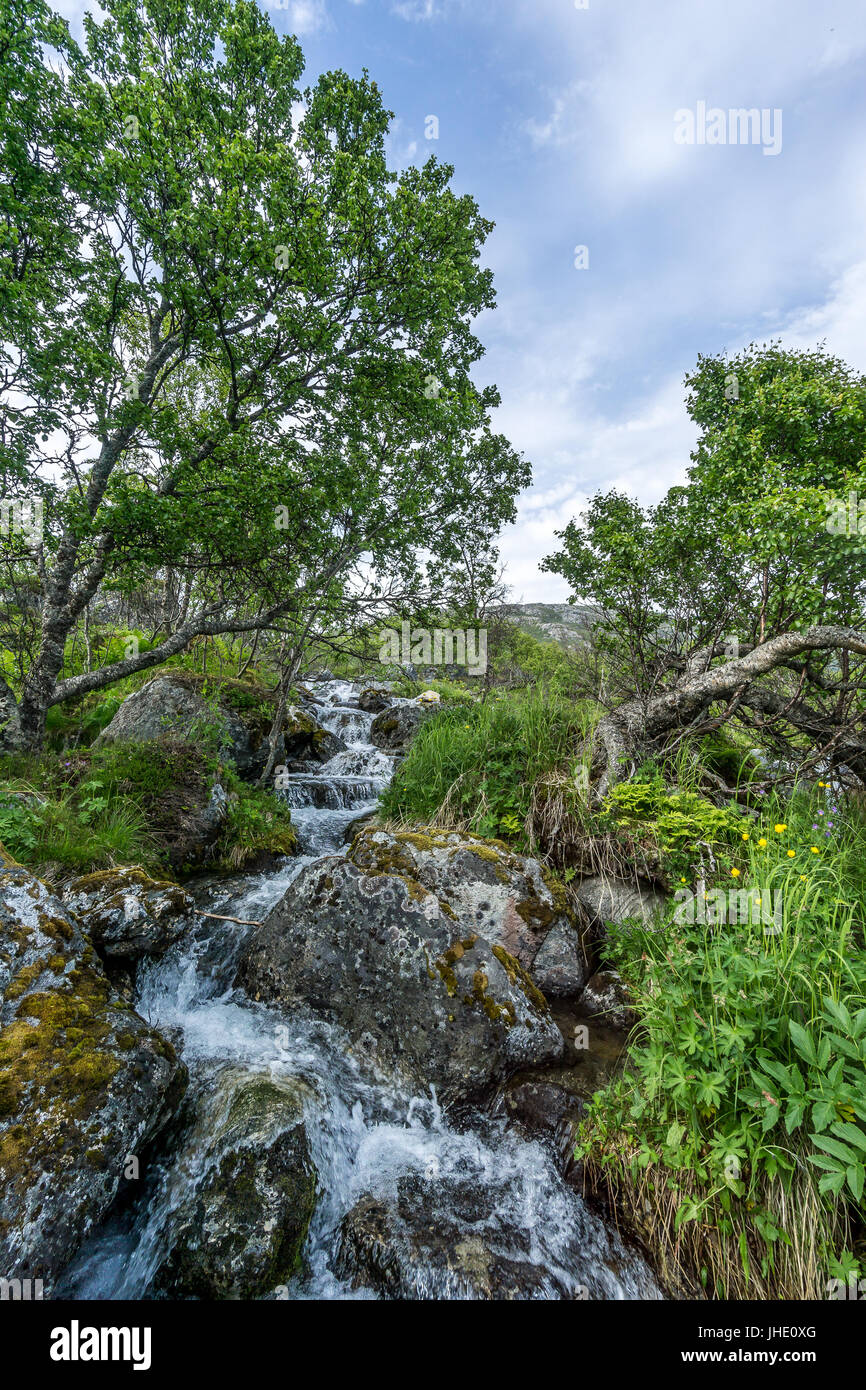 Frisches Quellwasser läuft nach unten in Richtung Ozean. Stockfoto