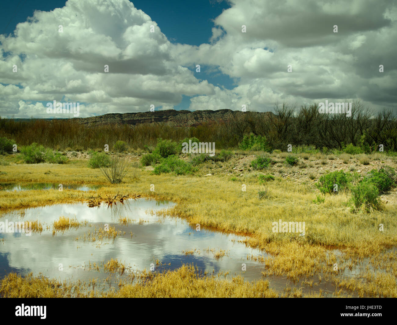 Schöne Reflexion der Wolken im Feld außerhalb Jemez Springs, New-Mexico Stockfoto