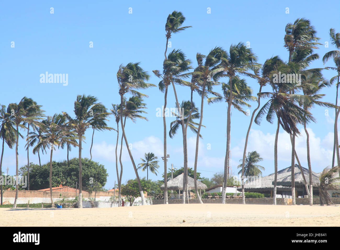 Menschen, Cumbuco Strand, Hauptstadt, Fortaleza, Ceará, Brasilien. Stockfoto