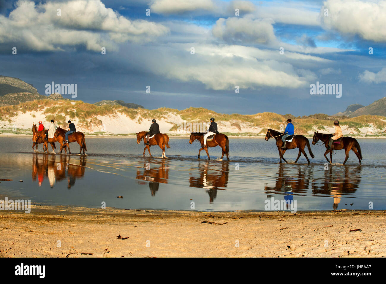 Reiten in Noordhoek Beach, Chapmans Peak Drive Road, Kapstadt, Südafrika. Stockfoto