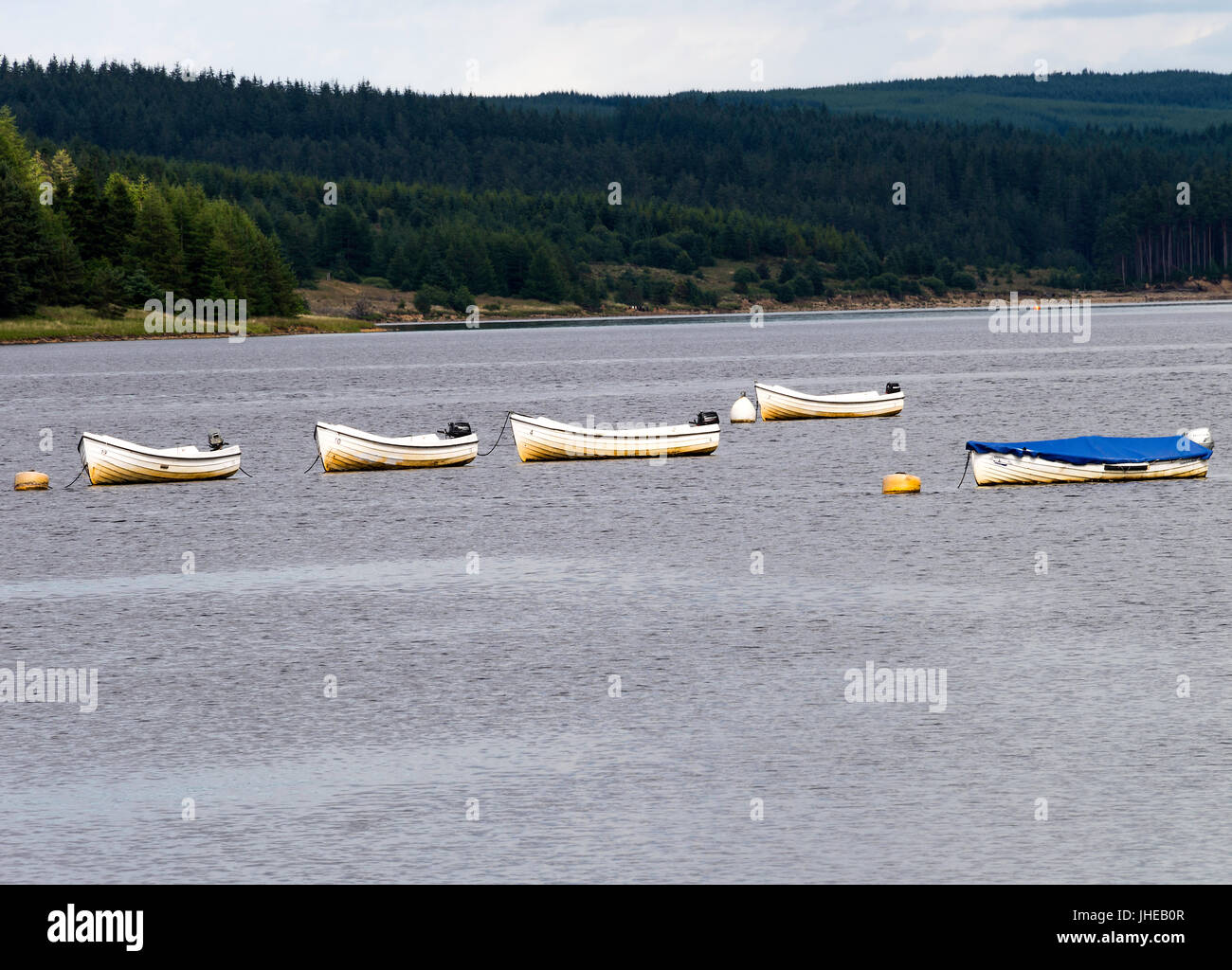 Kleine Motorboote vor Anker im Kielder Wasser für touristische Vermietung Northumberland England Vereinigtes Königreich UK Stockfoto
