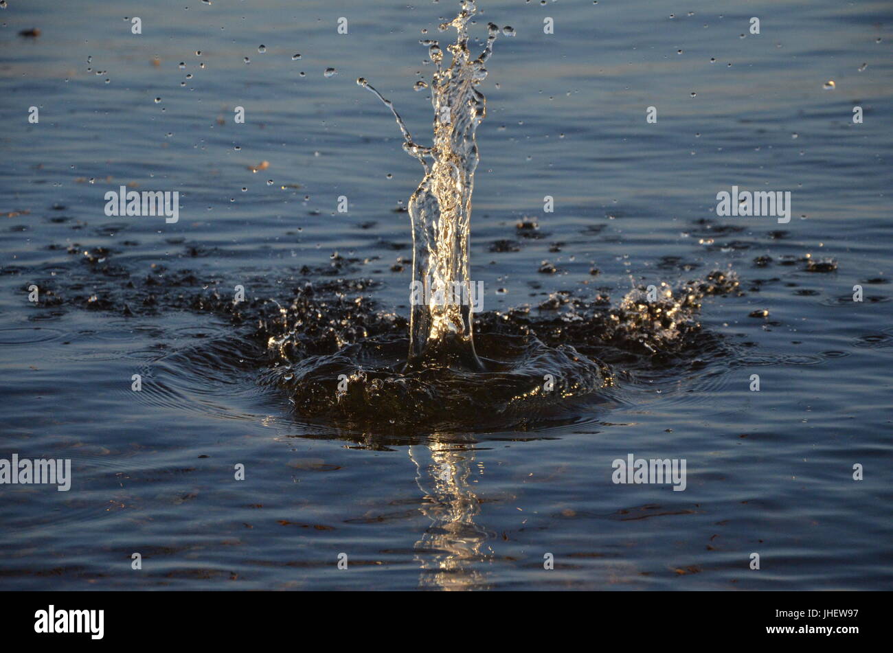 Wassertropfen Stockfoto