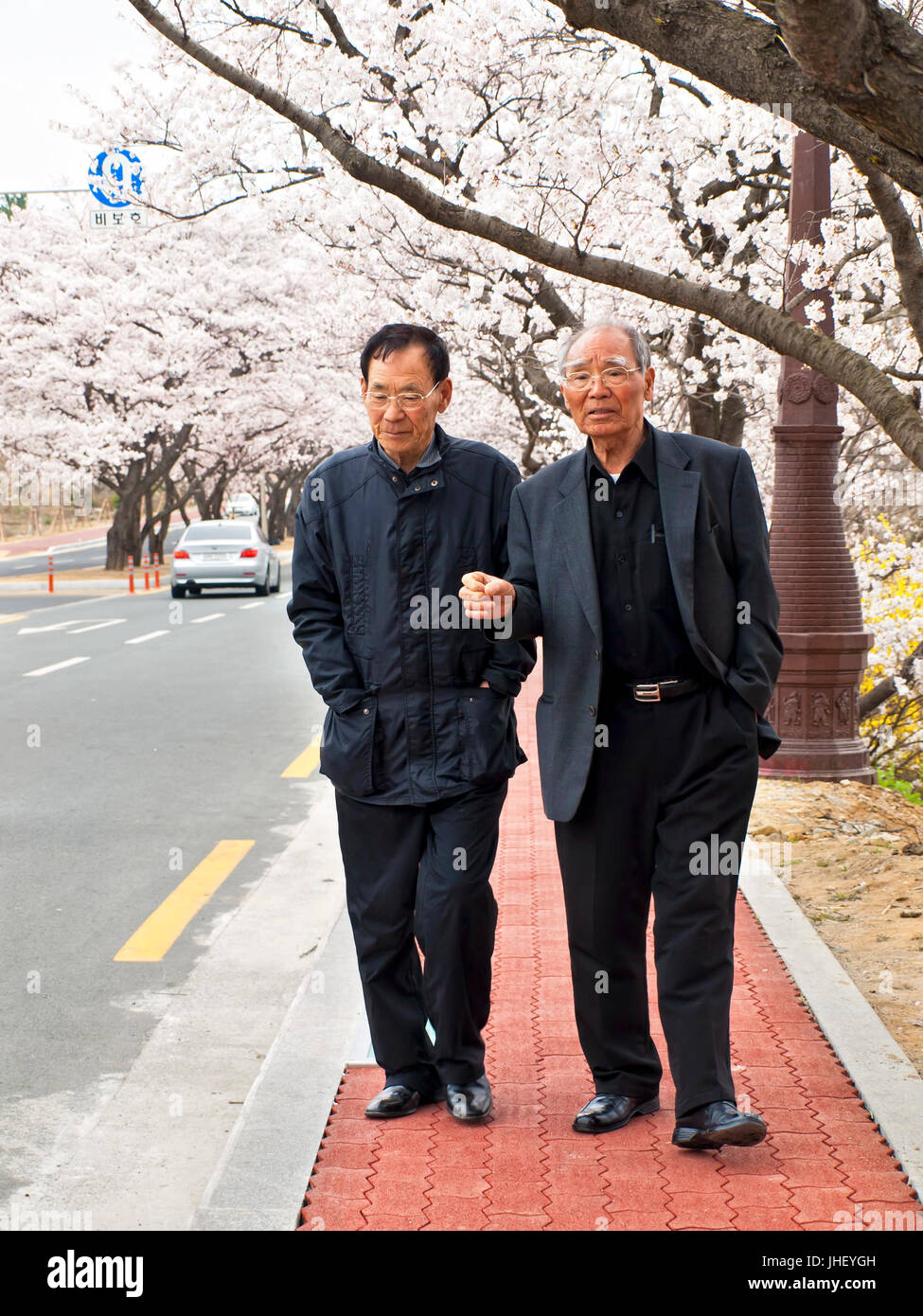 GYEONGJU, Südkorea – 11. April 2014: Foto von zwei ältere koreanische Menwalking auf der Straße in Gyeongju unter blühenden Kirsche Bäume während der jährlichen Stockfoto