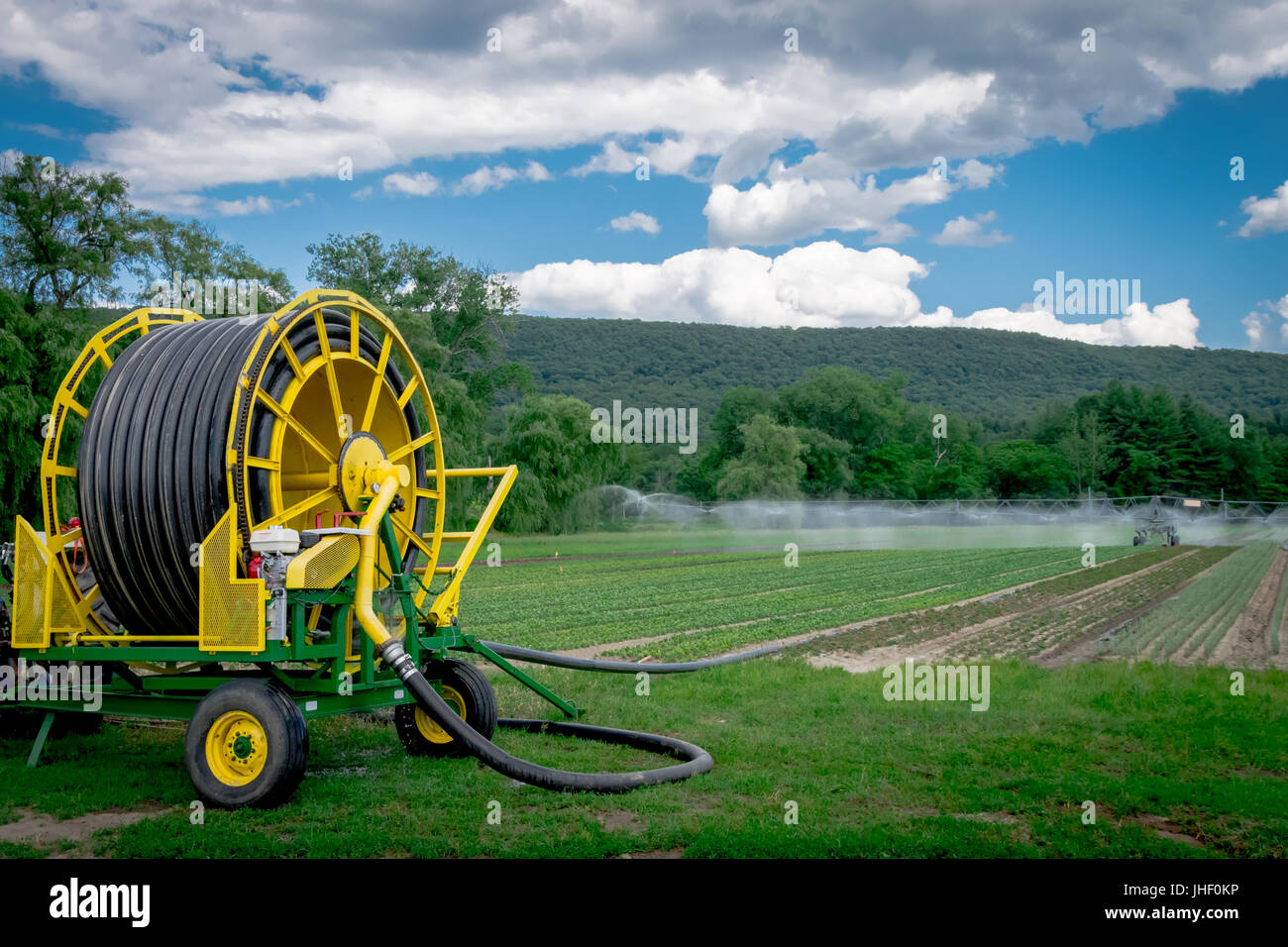 Beregnungs-und Bewässerungstechnik Bewässerung ein Gemüse Feld auf einem Bauernhof Stockfoto