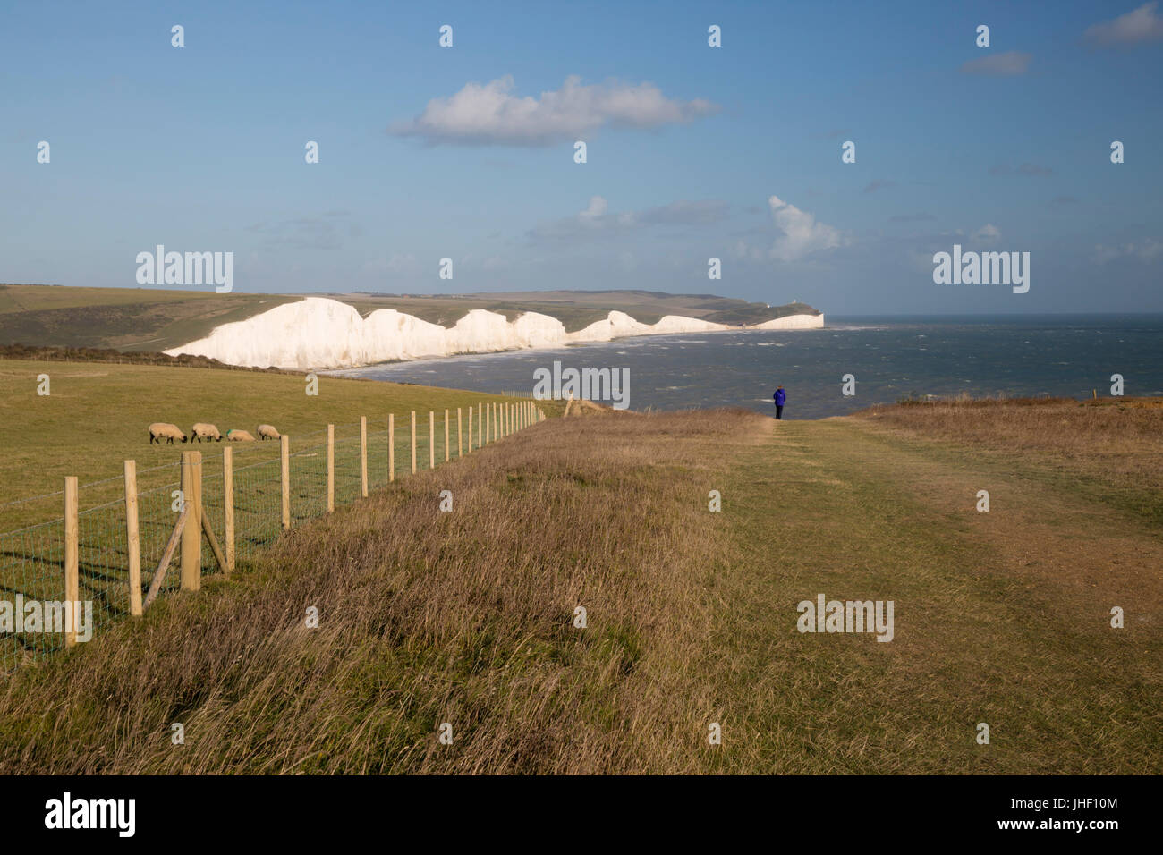 Sieben Schwestern und Beachy Head, Seaford, East Sussex, England, Vereinigtes Königreich, Europa Stockfoto