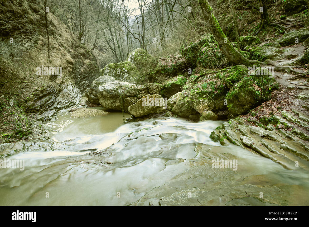 Landschaft der steinernen Treppe erstellt von grünem Moos Wald, Natur und Fluss Wasserfall. Stockfoto