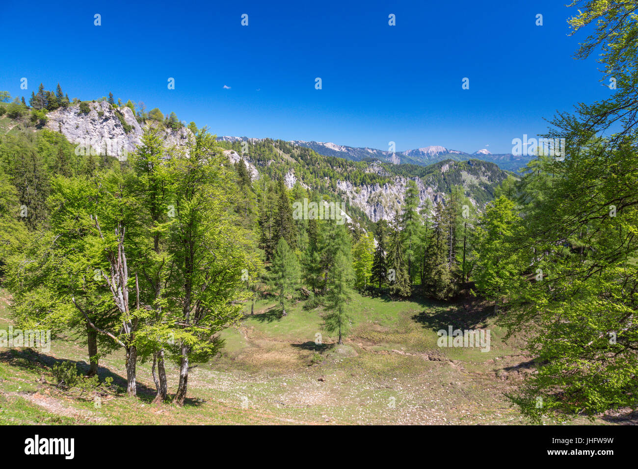 Heimmoseralm, Hinterwildalpen, Wildalpen, Alpen, Steiermark, Österreich Stockfoto