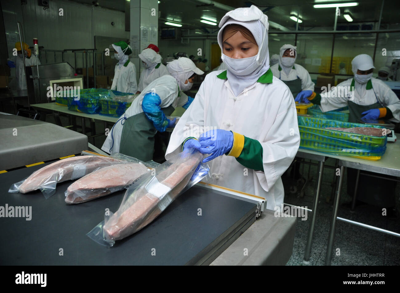 Jakarta, Indonesien - 5. Juni 2017: Arbeitnehmer sind Thunfisch mit Kunststoff auf eine Fischverarbeitungsfabrik Muara Baru, Jakarta Verpackung Stockfoto