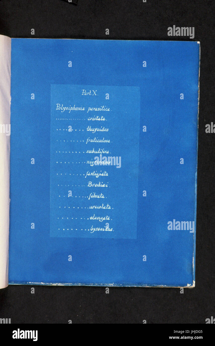 Inhaltsverzeichnis (NYPL b11861683-419593) Stockfoto