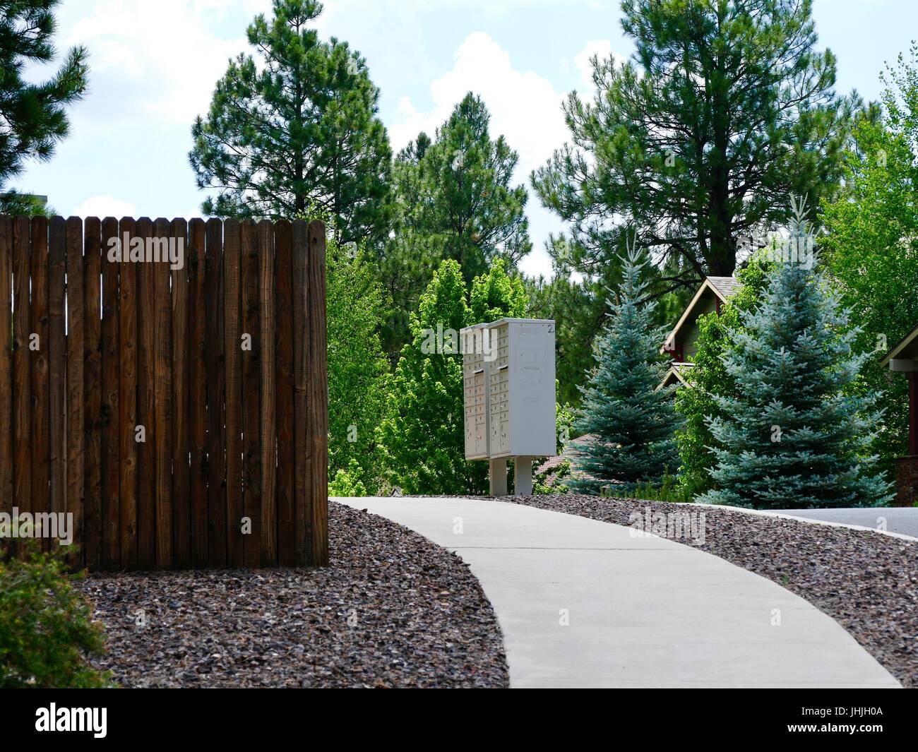 Cluster-Postfächer in Nachbarschaft mit Bürgersteig und immergrünen Bäumen. Flagstaff, Arizona, USA. Stockfoto