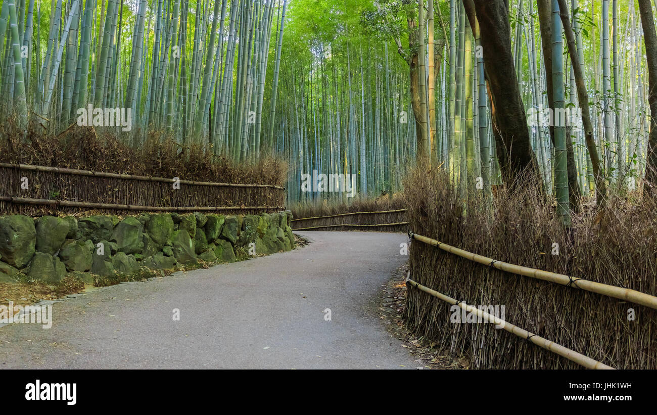 Chikurin-keine-Michi (Bambushain) in Arashiyama in Kyoto, Japan Stockfoto