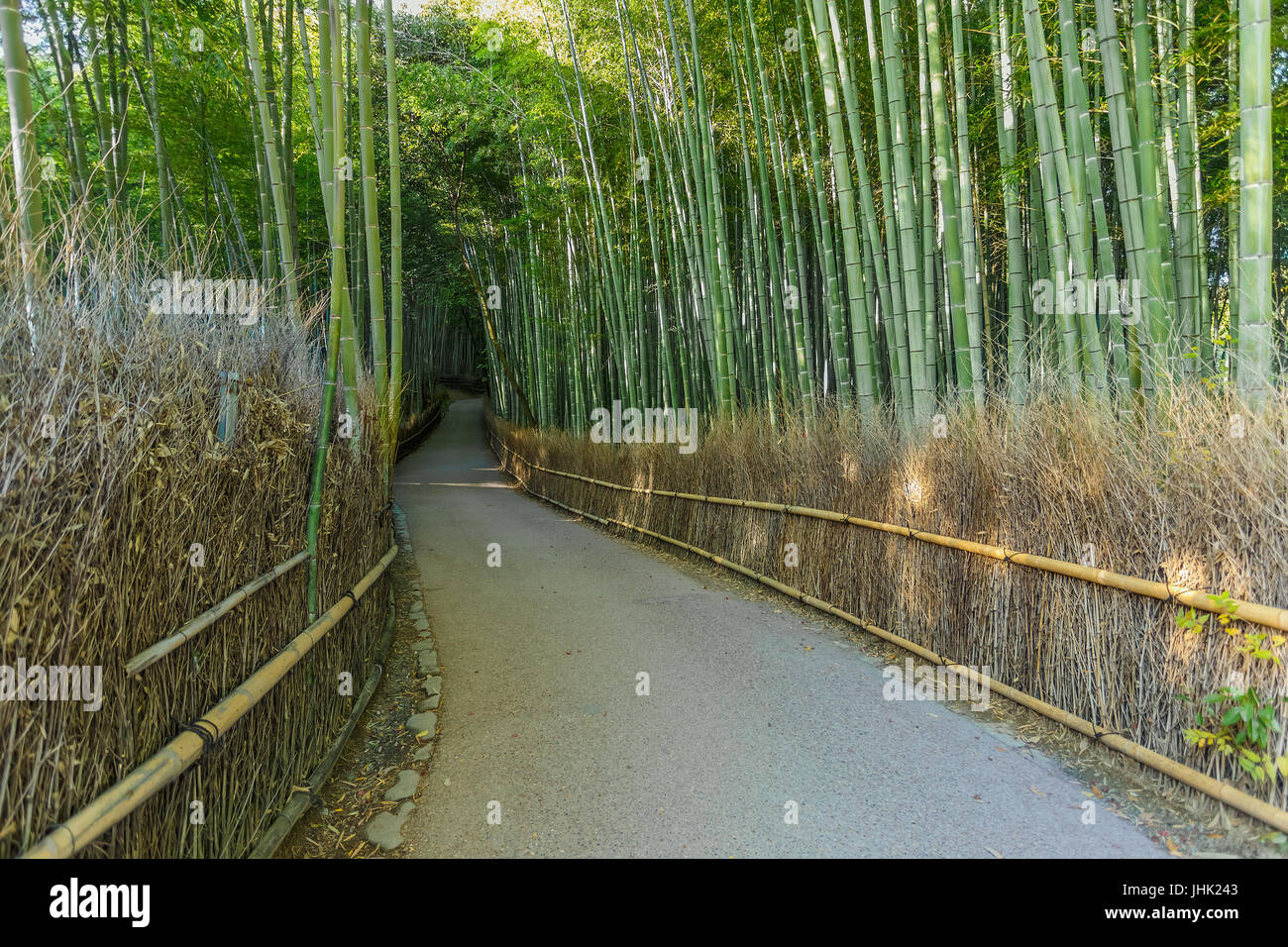 Chikurin-keine-Michi (Bambushain) in Arashiyama in Kyoto, Japan Stockfoto