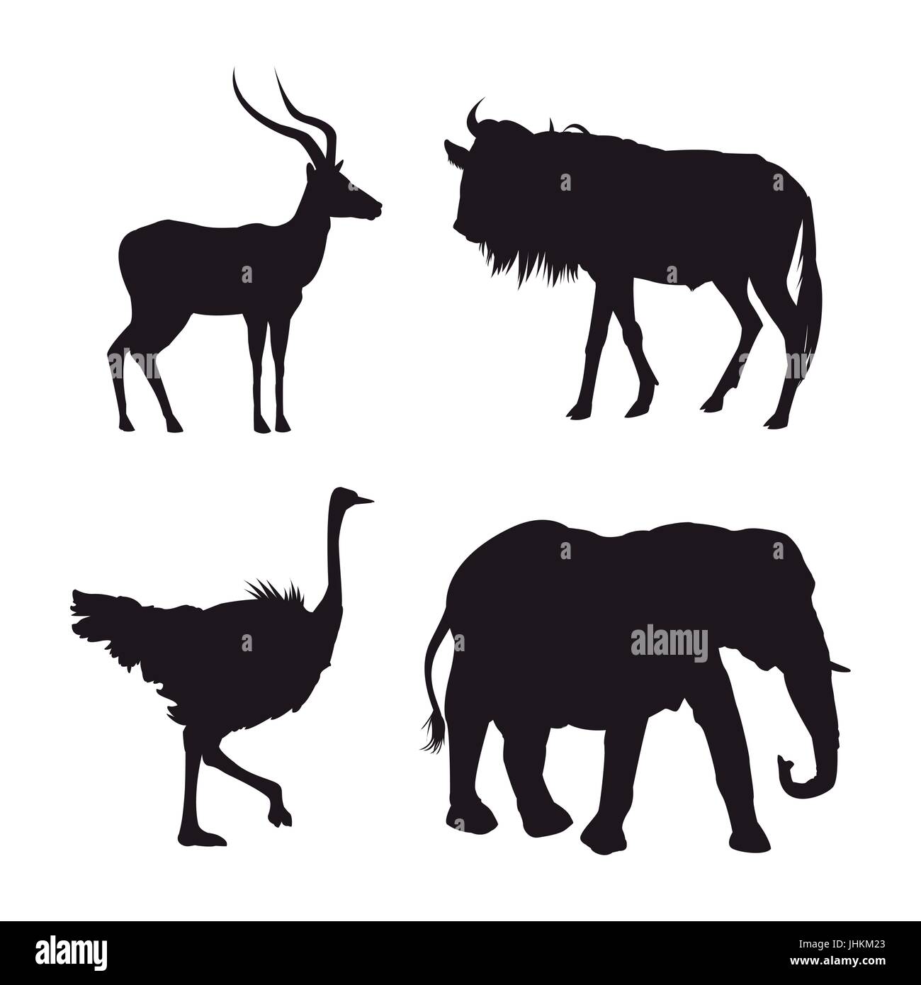 Weissen Hintergrund Mit Schwarzen Silhouette Von Afrikanischen Wildtieren Stock Vektorgrafik Alamy