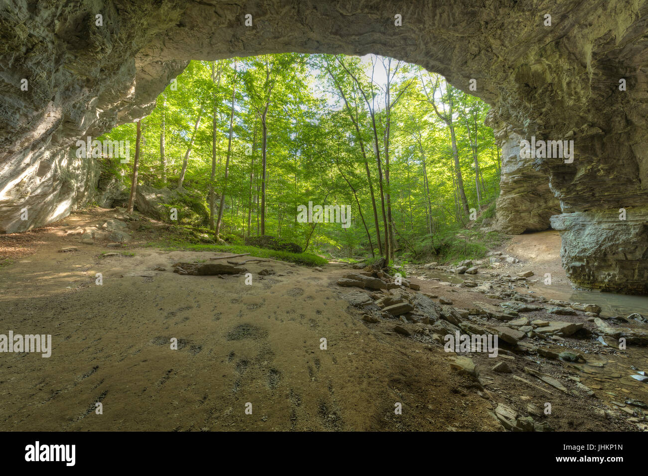 Höhle Öffnung in den Wald Stockfoto