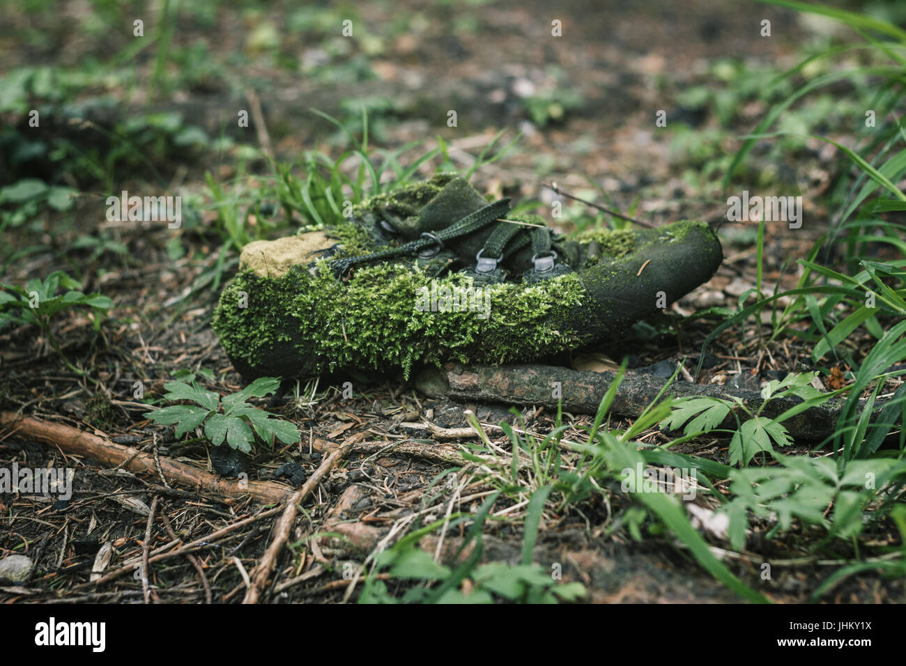 verlassene Moos bedeckt und im Alter von Schuh am hölzernen Umwelt Stockfoto