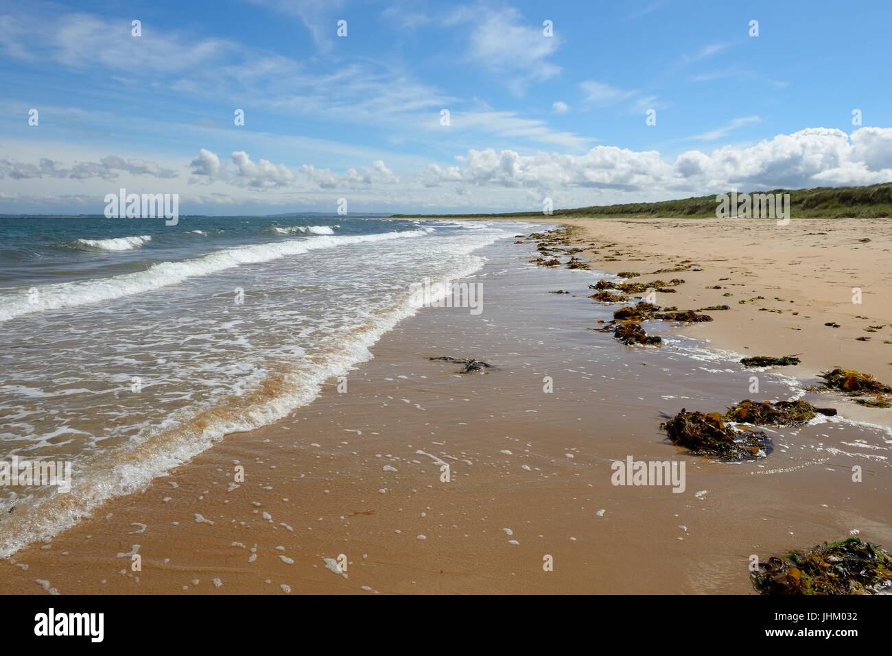 Preisgekrönte Dornoch Beach, Sutherland, Schottland, nach Flut und starkem Wind Klumpen von Algen an der Küste verlassen. Stockfoto