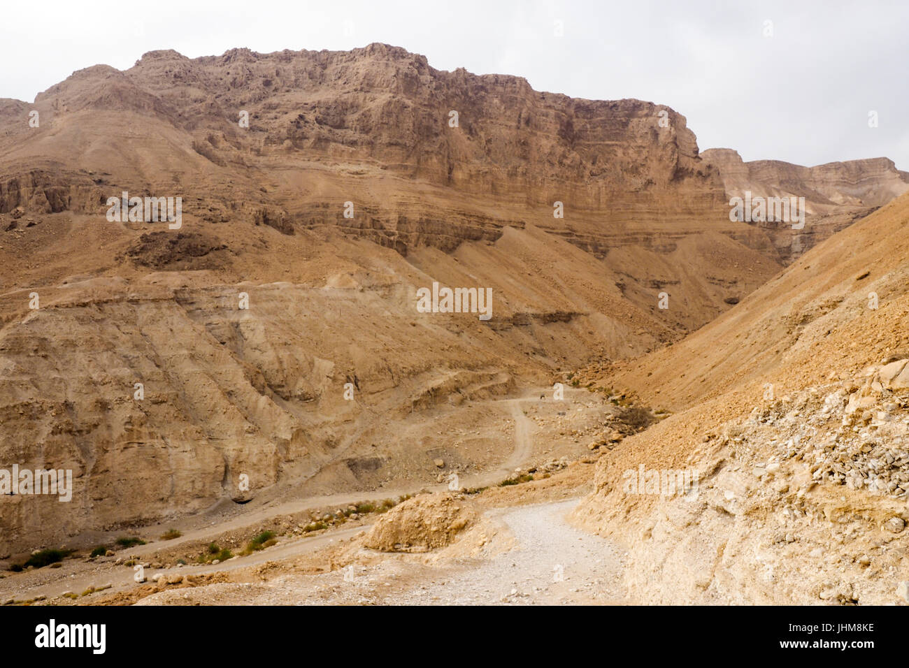 Berg Masada, Israel. Stockfoto