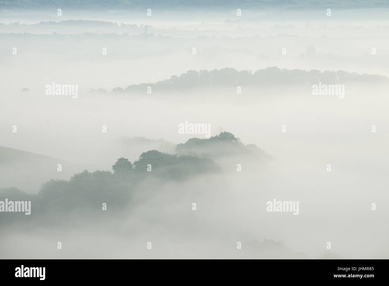 Nebel wirbelt Arounf der ländlichen Hügellandschaft in der Nähe von Bridport in West Dorset, England, UK Stockfoto