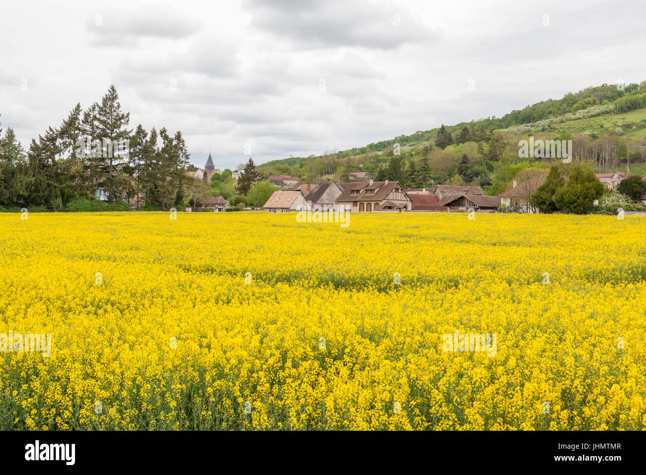 Raps-Feld mit Dorf Giverny und Hügel im Hintergrund an Giverny, Frankreich, einem Dorf westlich von Paris. Es ist bekannt als der Ort, wo Maler Claude Mo Stockfoto