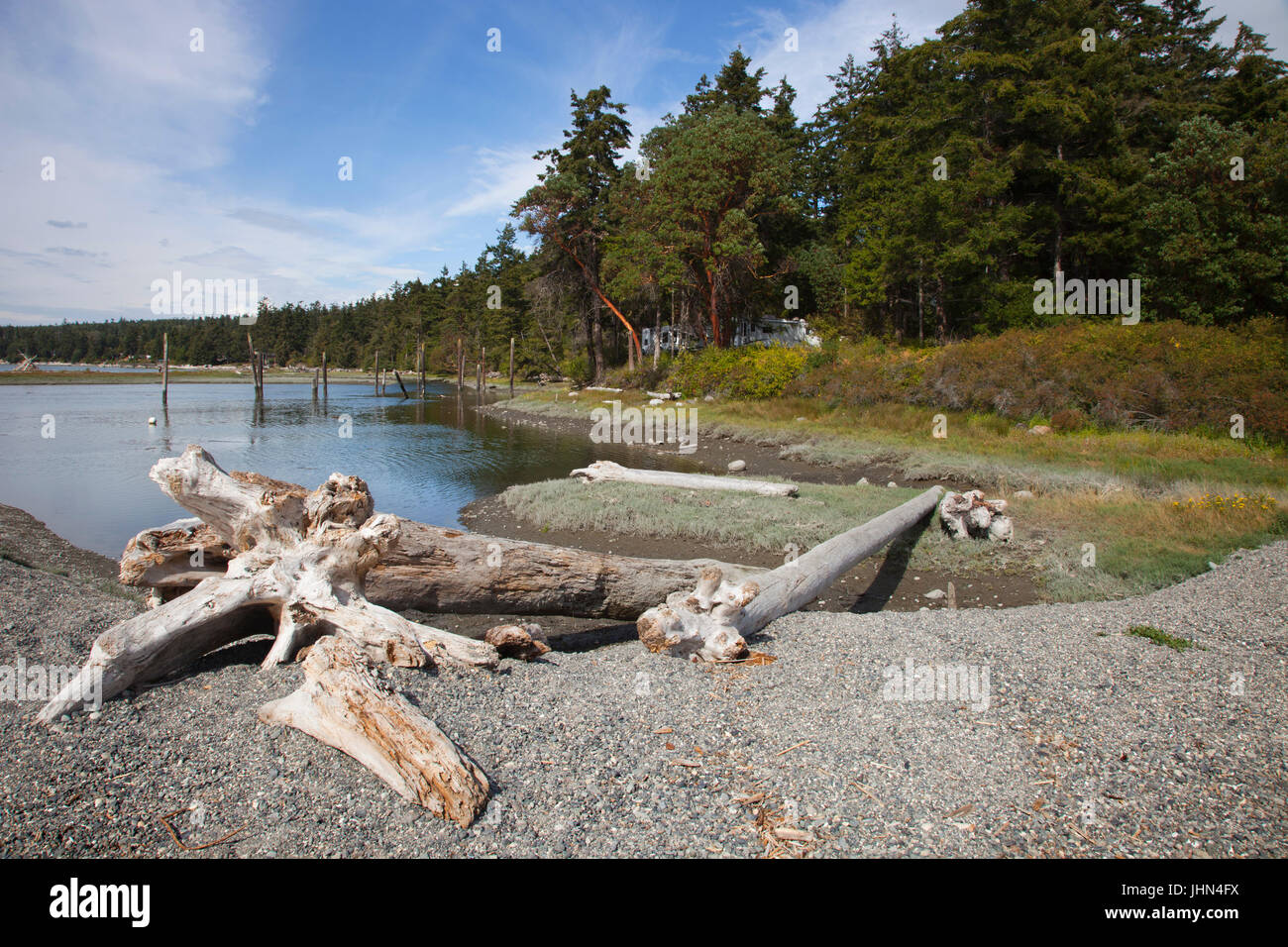 Strand, La Conner Campingplatz Swinomish Indianer-Reservat, Skagit Bay, Fidalgo Island, La Conner, US-Bundesstaat Washington, USA, Amerika Stockfoto