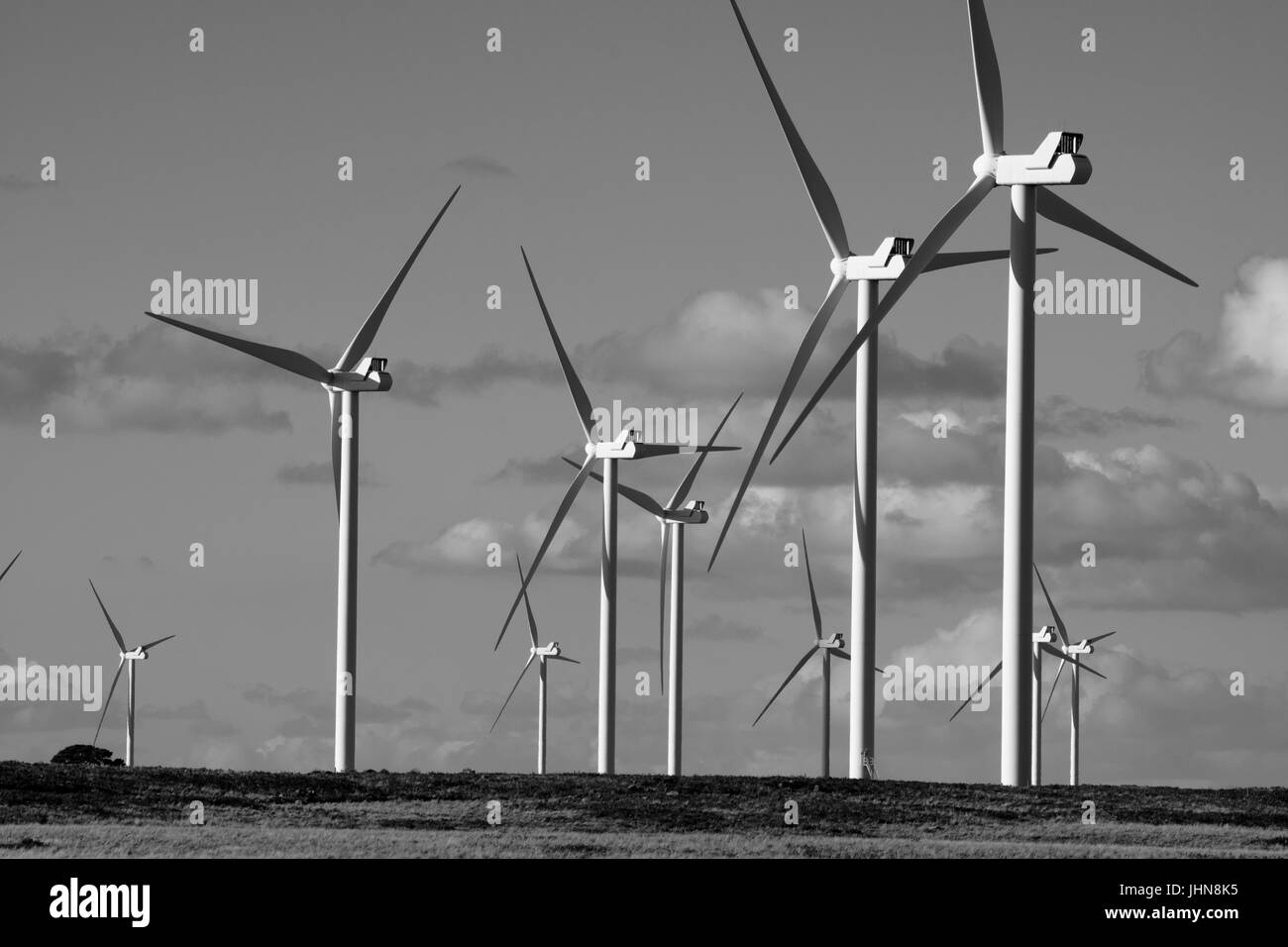Strom Erzeugung Windkraftanlagen an Macarthur, Victoria, Südaustralien Stockfoto