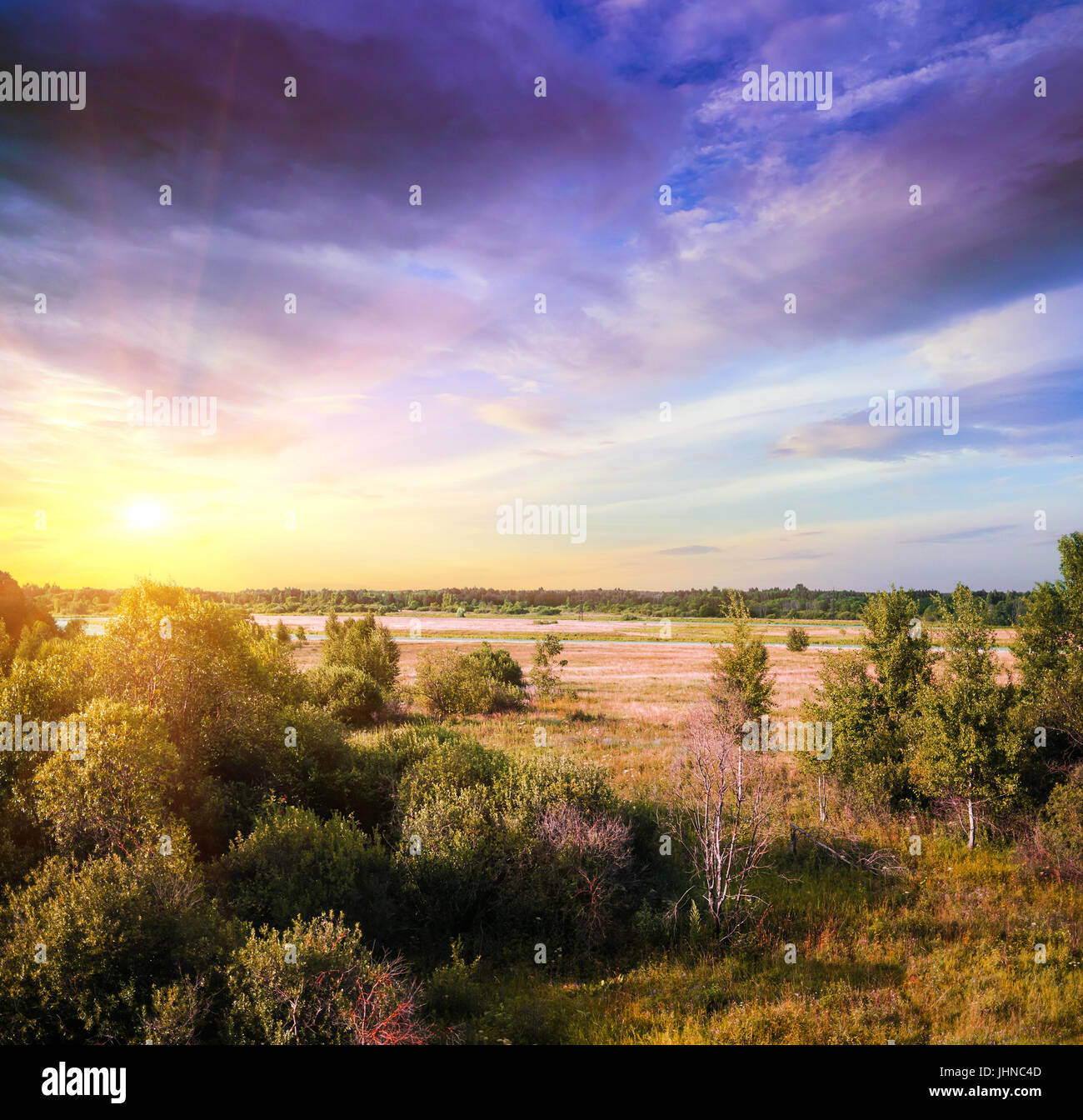 Wald und Feld panorama Stockfoto